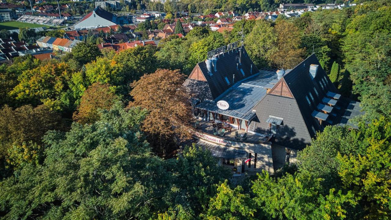 Tercia Hubertus Panzió Acomodação com café da manhã Sopron Exterior foto